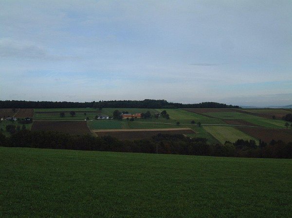Bild 225.jpg